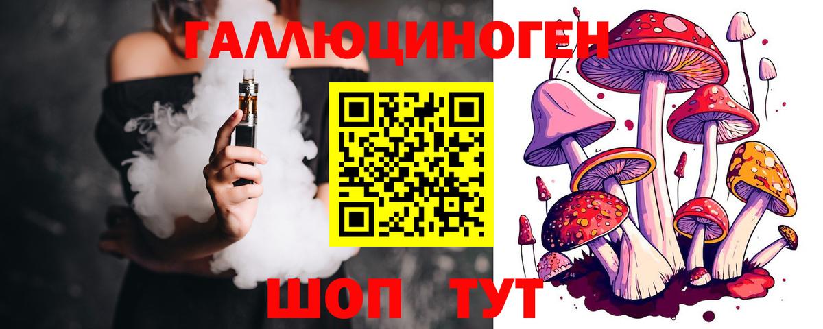 Новороссийск  Галлюциногенные грибы Psilocybine cubensis  Вход с VPN  Псилоцибиновые грибы Psilocybe 